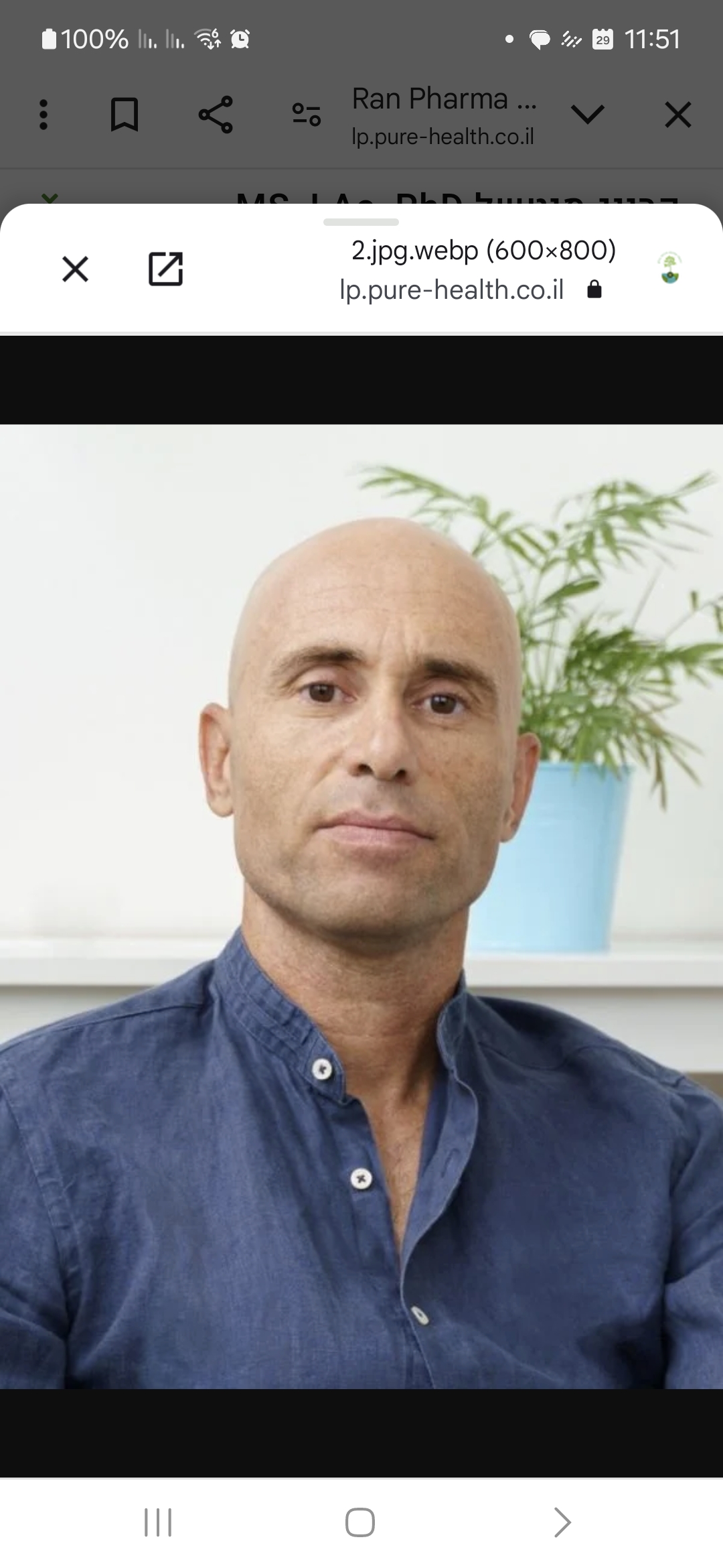 יניב מורסיאנו