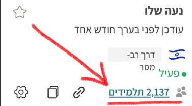 2,137 תלמידות בפלטפורמה של נעה שלו