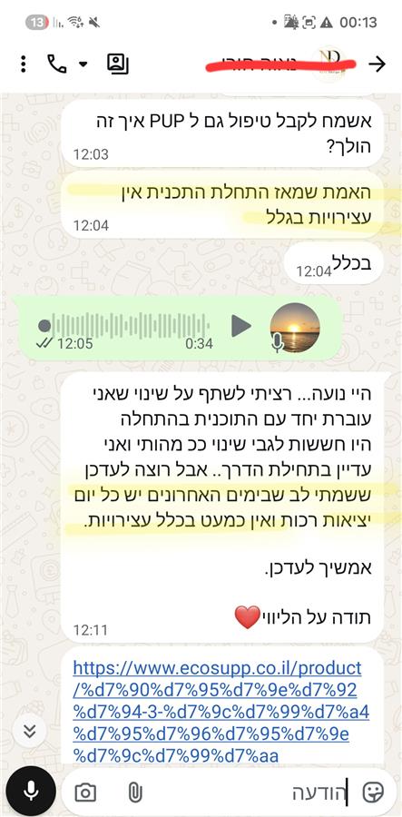 המלצה